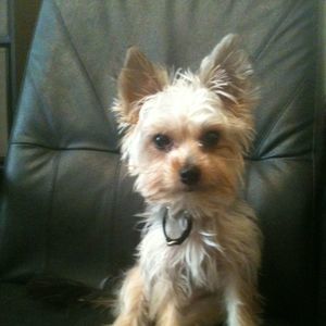 Meet your Posher, Mike